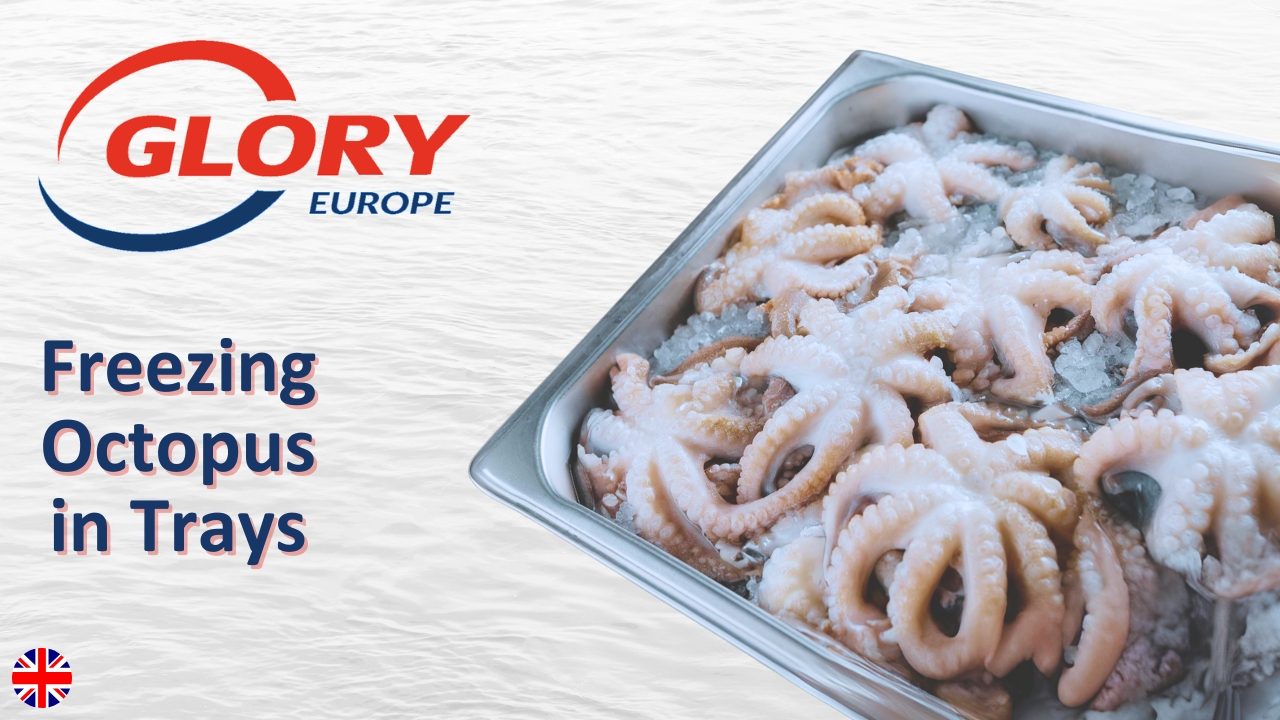 Foods in Trays & Boxes freezing octopus in trays