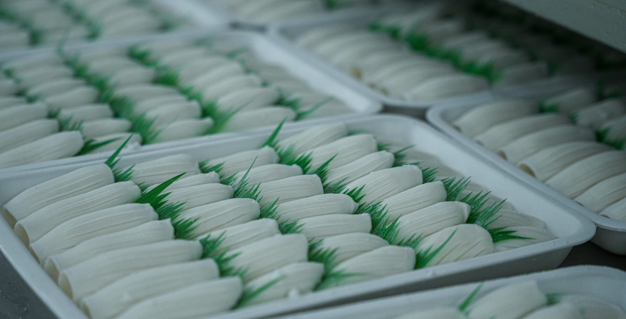 Foods in Trays & Boxes DSC06416