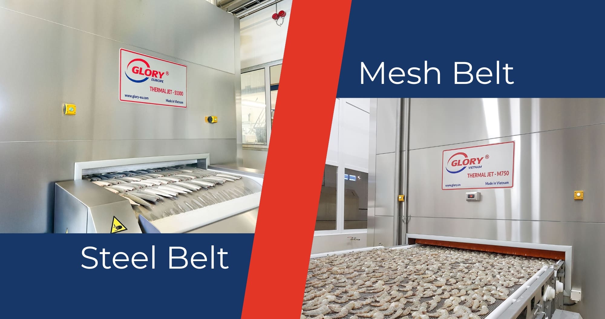 steel belt vs mesh belt